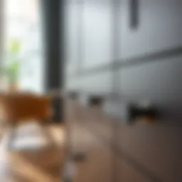 Elegant cabinet handles showcasing modern design
