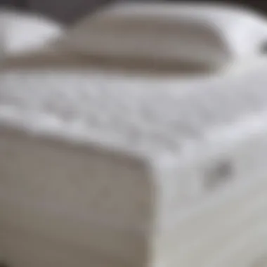 Protective Features of Alize Mattress Protector Close-up view of Alize mattress protector demonstrating its protective features.