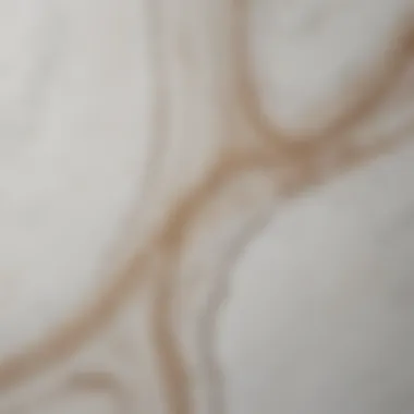 Close-up of marble surface showcasing unique patterns