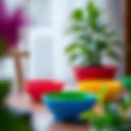 Colorful plastic pot saucers enhancing plant aesthetics