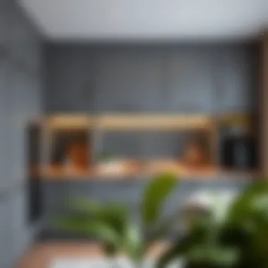 Contemporary Gray Cabinetry with Functional Storage Contemporary gray cabinetry with functional storage solutions