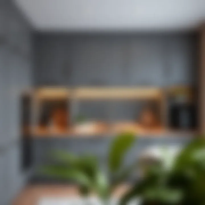 Contemporary Gray Cabinetry with Functional Storage Contemporary gray cabinetry with functional storage solutions