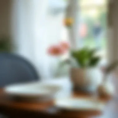 Incorporating Plastic Pot Saucers in Decorative Arrangements Plastic pot saucers used in decorative arrangements