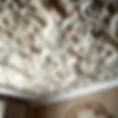 Intricate Textures of Decorative Foam Ceiling Close-up of a textured foam ceiling showcasing intricate designs