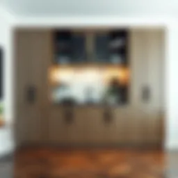 Elegant deep pantry cabinet showcasing modern design