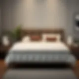 Stylish Double Bed Protector Elegant design of a double bed protector showcasing comfort and style