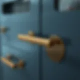Elegant cabinet handles showcasing modern design