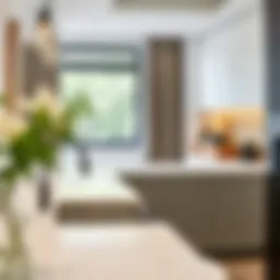 Elegant kitchen sink countertop with modern design