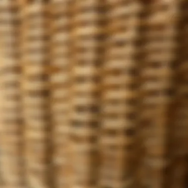 Intricate Weave of Rattan Close-up of the intricate weave of rattan material