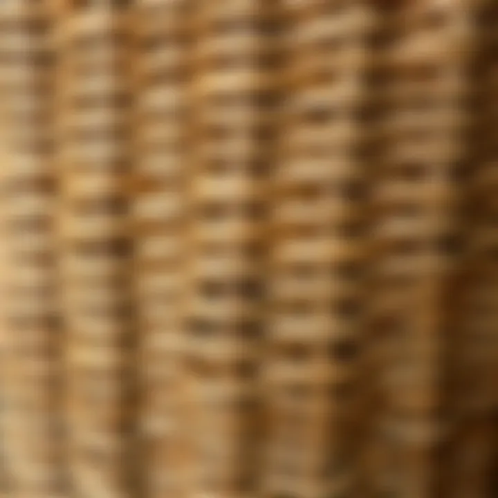 Intricate Weave of Rattan Close-up of the intricate weave of rattan material