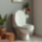 Elegant toilet seat designs showcasing various styles and colors
