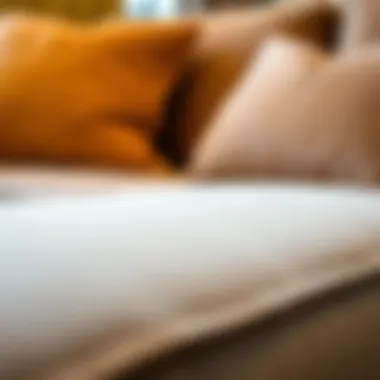 Close-up of luxurious fabric used in sporty couch