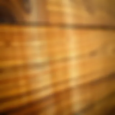 The Luxurious Texture of Solid Oak Wood Close-up of the grain and texture of solid oak wood