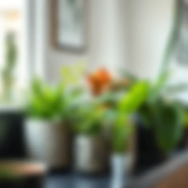 Artful Display of Plants in Metal Planters Stylish metal planter arrangement showcasing plant varieties