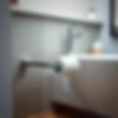 Contemporary Metallic Toilet Paper Holder Contemporary metallic toilet paper holder showcasing durability