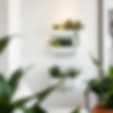 Minimalist wall planter enhancing modern decor