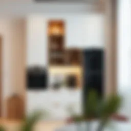 Elegant kitchen pantry cabinet showcasing modern design