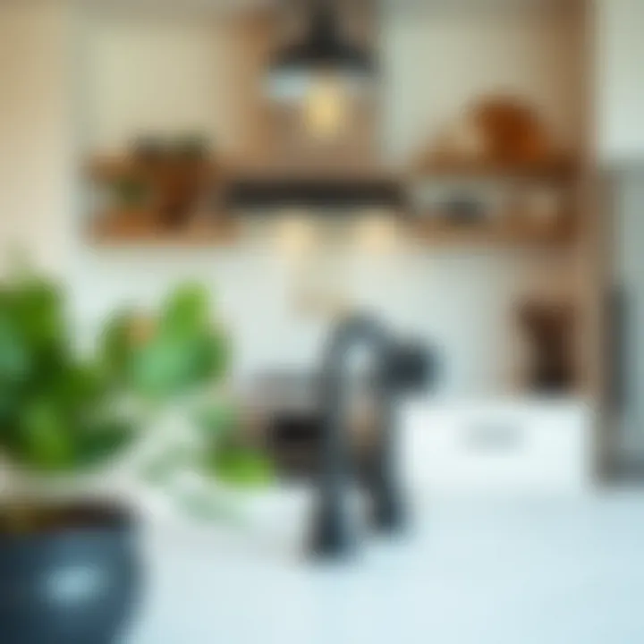 Decorating Inspiration with Black Kitchen Handles Inspiration for decorating with black kitchen handles