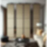 Contemporary room divider showcasing sleek design