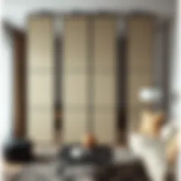 Contemporary room divider showcasing sleek design