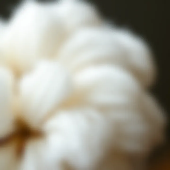 Natural Texture of Cotton Fibers Close-up of cotton fibers showcasing their natural texture