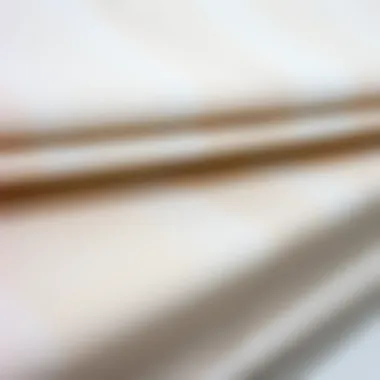 Aesthetic Variety in Roller Blind Fabrics Close-up of roller blind fabric textures highlighting aesthetic variety.