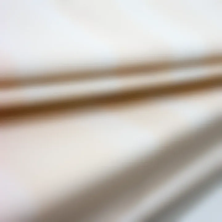 Aesthetic Variety in Roller Blind Fabrics Close-up of roller blind fabric textures highlighting aesthetic variety.