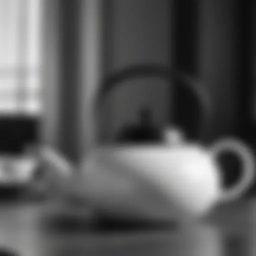 Elegant black and white teapot design