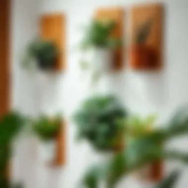 Stylish indoor wall planter arrangement