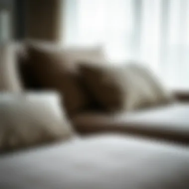 Close-up of stylish upholstery and design details of a triple sofa bed