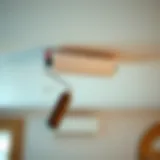 A close-up view of a high-quality ceiling painting roller