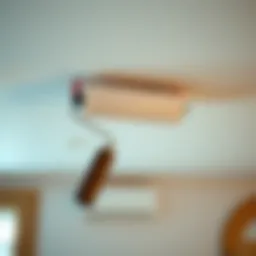 A close-up view of a high-quality ceiling painting roller