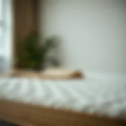 Therapeutic sponge mattress for optimal comfort