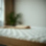 Exploring Comfort in Therapeutic Sponge Mattresses Therapeutic sponge mattress for optimal comfort