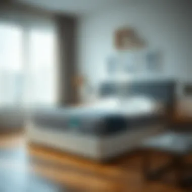 Impact of mattress choice on sleep quality