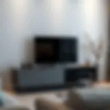 Sleek modern TV stand with decorative accents