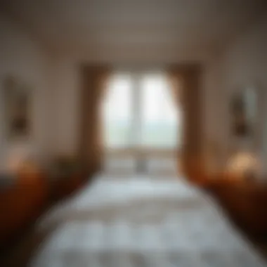 A serene bedroom showcasing the benefits of using a mattress protector